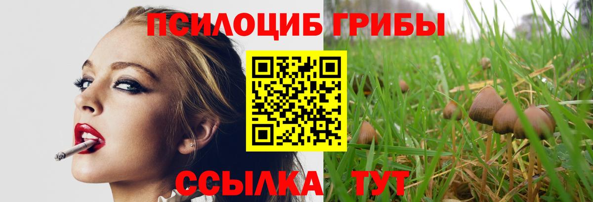 Галлюциногенные грибы мухоморы  Галлюциногенные грибы мицелий  Вход с VPN  Фролово 